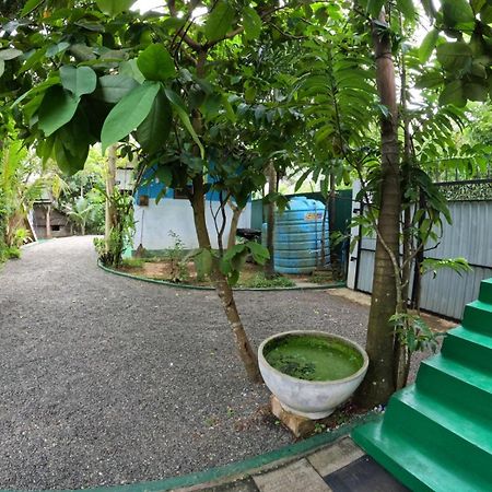 New Star Light Hotel Mirissa Exterior foto
